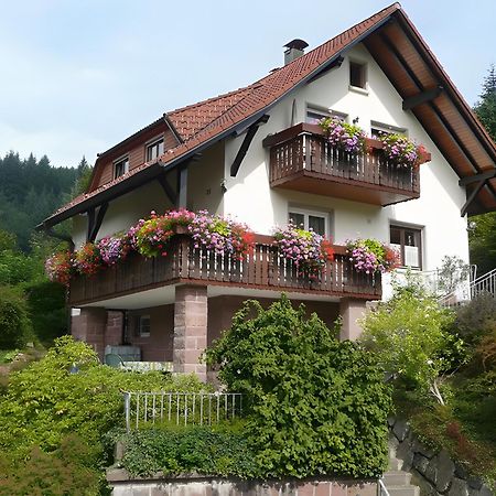 Haus Herbert Panter Bad Peterstal-Griesbach Exterior foto